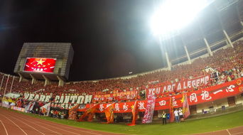 九游下载官网-场馆设施翻新完成比赛场地改造计划推进，场馆设计方案